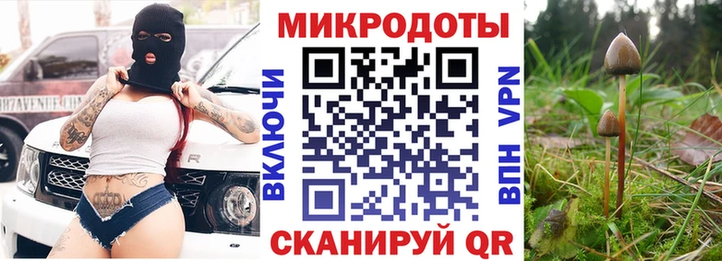 закладки Алексеевка Псилоцибиновые грибы мицелий